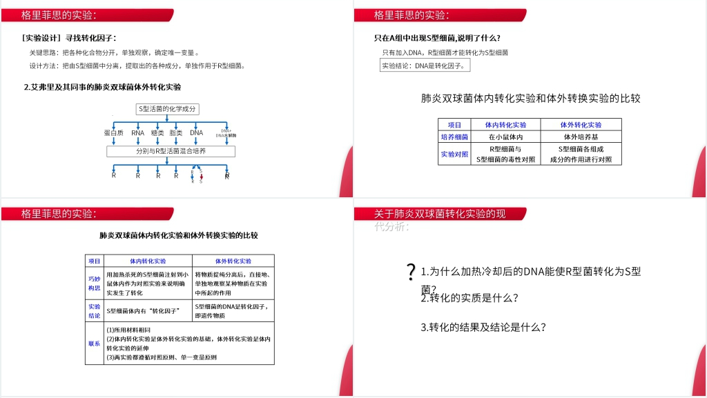 高一下册生物必修二《DNA是主要的遗传物质》教学PPT课件 高一下册生物必修二《DNA是主要的遗传物质》教学PPT课件