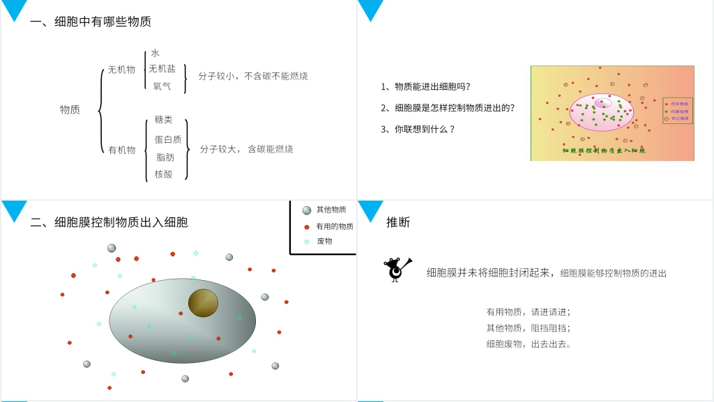 人教版七年级初一生物上册《细胞的生活》PPT课件