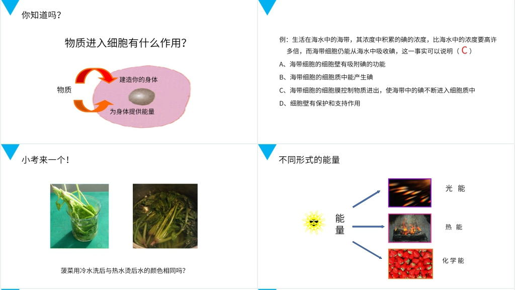 人教版七年级初一生物上册《细胞的生活》PPT课件