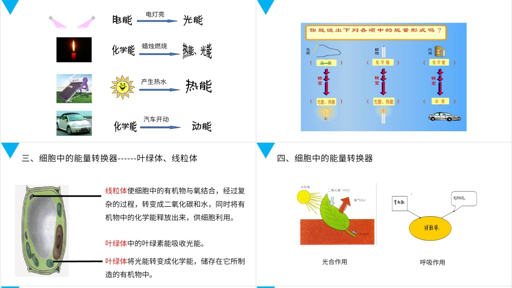 人教版七年级初一生物上册《细胞的生活》PPT课件