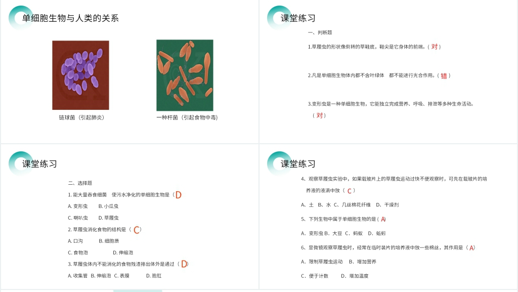 人教版七年级初一生物上册《单细胞生物》PPT课件 人教版七年级初一生物上册《单细胞生物》PPT课件
