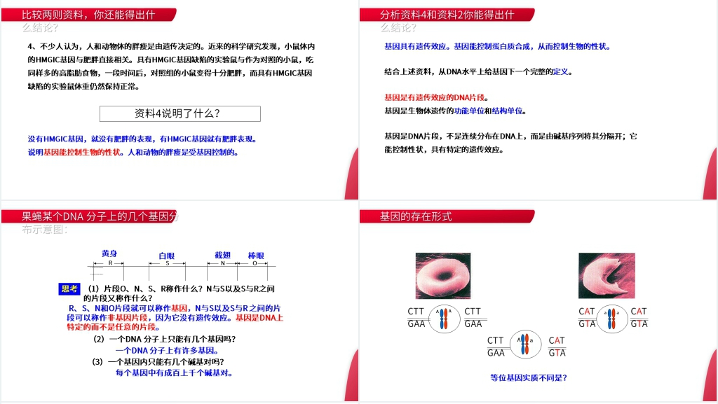 高一下册生物必修二《基因是有遗传效应的DNA片段》PPT课件 高一下册生物必修二《基因是有遗传效应的DNA片段》PPT课件
