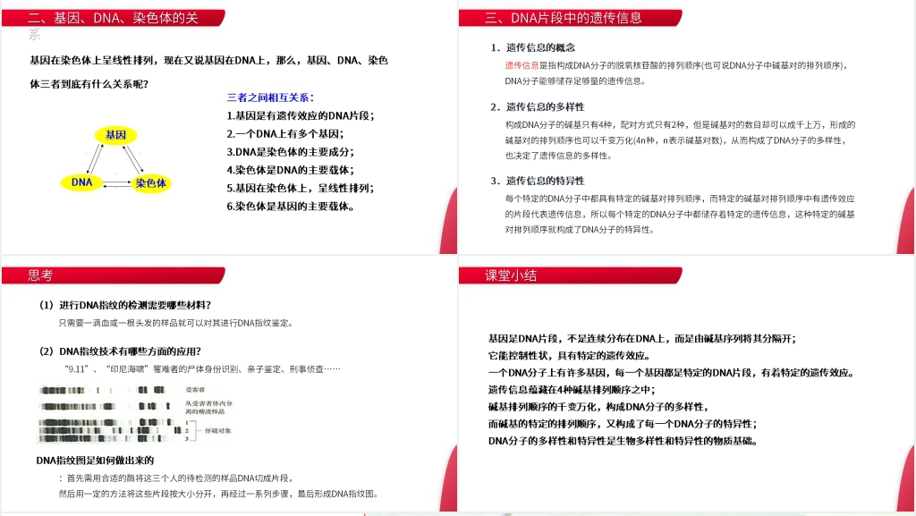 高一下册生物必修二《基因是有遗传效应的DNA片段》PPT课件 高一下册生物必修二《基因是有遗传效应的DNA片段》PPT课件