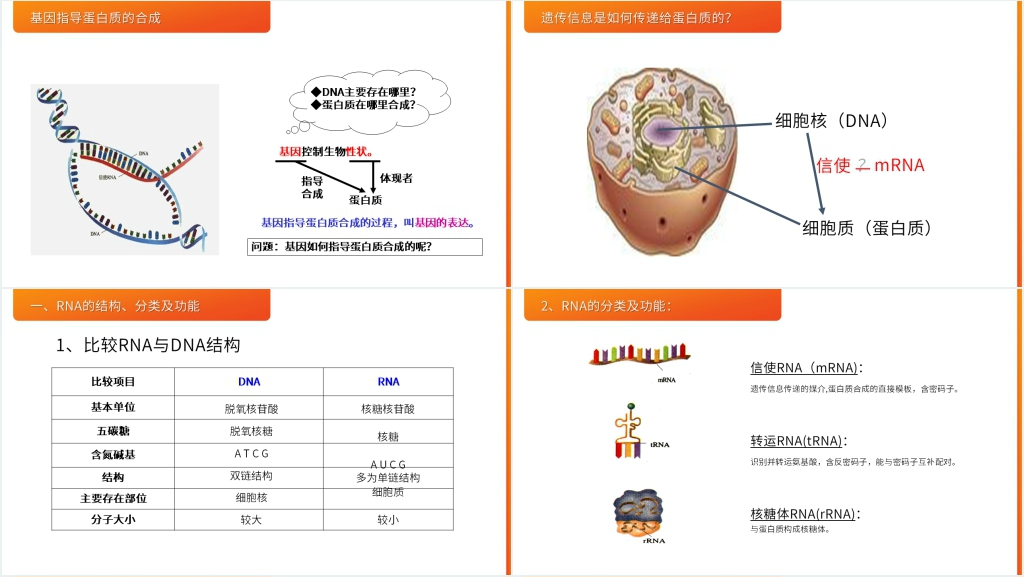 高一下册生物必修二《基因指导蛋白质的合成》PPT课件 高一下册生物必修二《基因指导蛋白质的合成》PPT课件