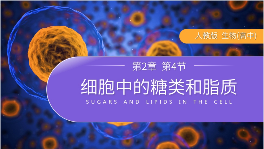 人教版生物必修高一《细胞中的糖类和脂质》PPT课件截图