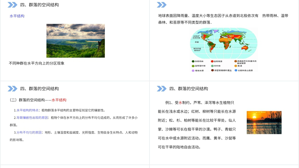 人教版高二生物必修三《群落的结构》PPT课件 人教版高二生物必修三《群落的结构》PPT课件