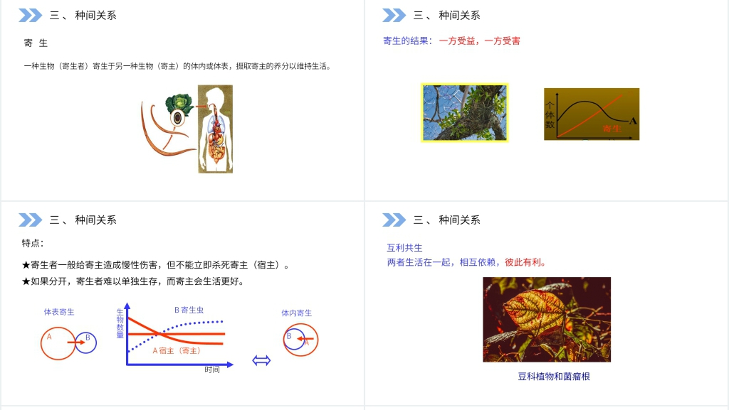 人教版高二生物必修三《群落的结构》PPT课件 人教版高二生物必修三《群落的结构》PPT课件