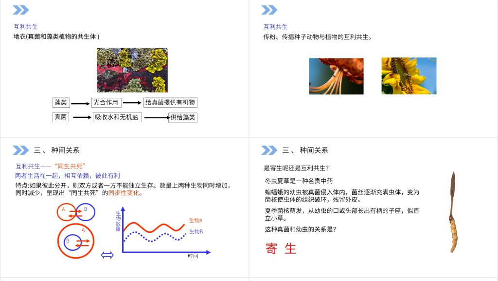 人教版高二生物必修三《群落的结构》PPT课件 人教版高二生物必修三《群落的结构》PPT课件