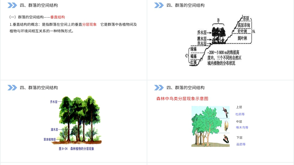人教版高二生物必修三《群落的结构》PPT课件 人教版高二生物必修三《群落的结构》PPT课件