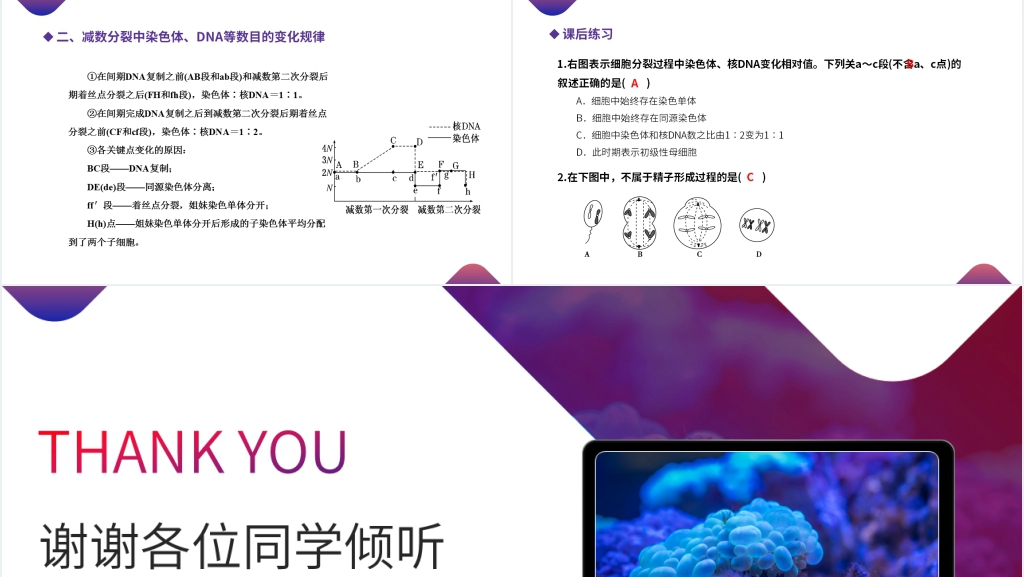 高一下册生物必修二《减数分裂和受精作用》教学PPT课件 高一下册生物必修二《减数分裂和受精作用》教学PPT课件