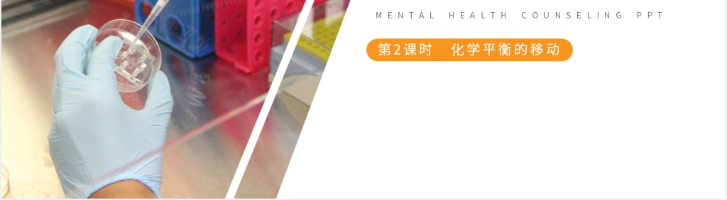 人教版高二化学选修4《化学平衡》教学PPT课件 人教版高二化学选修4《化学平衡》教学PPT课件