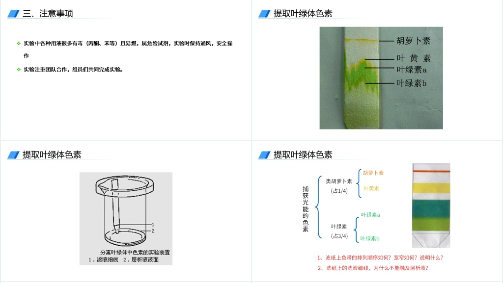 人教版必修高一生物《捕获光能的色素和结构》PPT课件 人教版必修高一生物《捕获光能的色素和结构》PPT课件