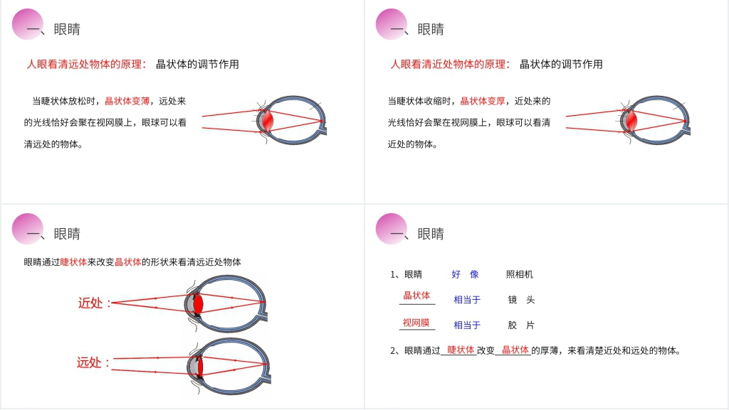 人教版八年级初二物理上册《眼睛和眼镜》PPT课件 人教版八年级初二物理上册《眼睛和眼镜》PPT课件