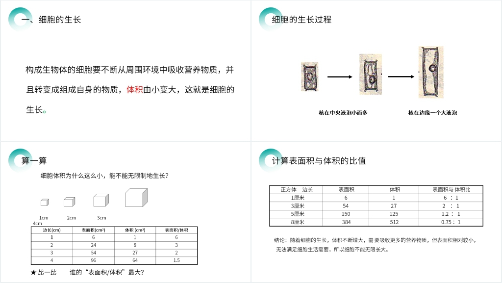 人教版七年级初一生物上册《细胞通过分裂产生新细胞》PPT课件 人教版七年级初一生物上册《细胞通过分裂产生新细胞》PPT课件