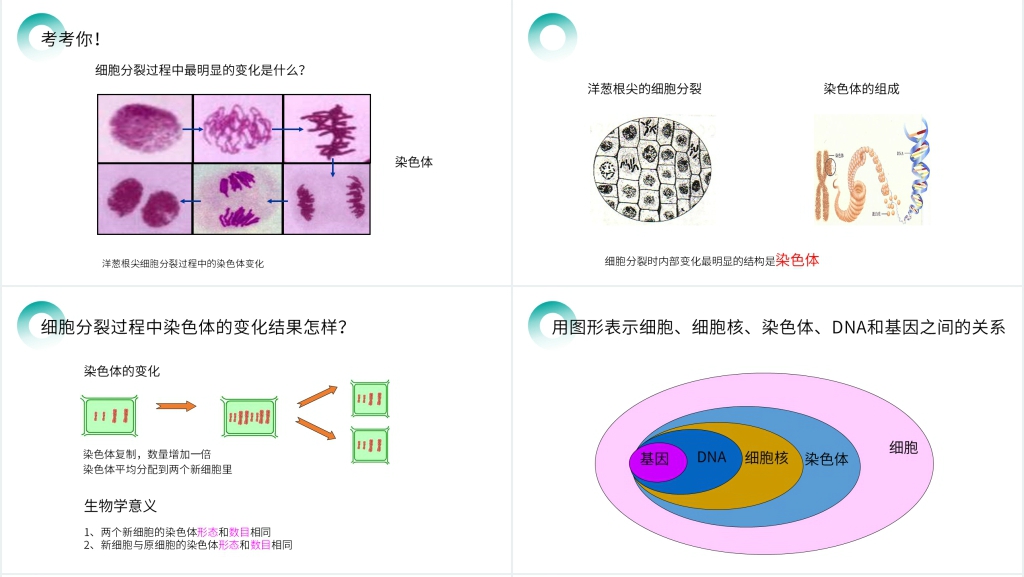 人教版七年级初一生物上册《细胞通过分裂产生新细胞》PPT课件 人教版七年级初一生物上册《细胞通过分裂产生新细胞》PPT课件