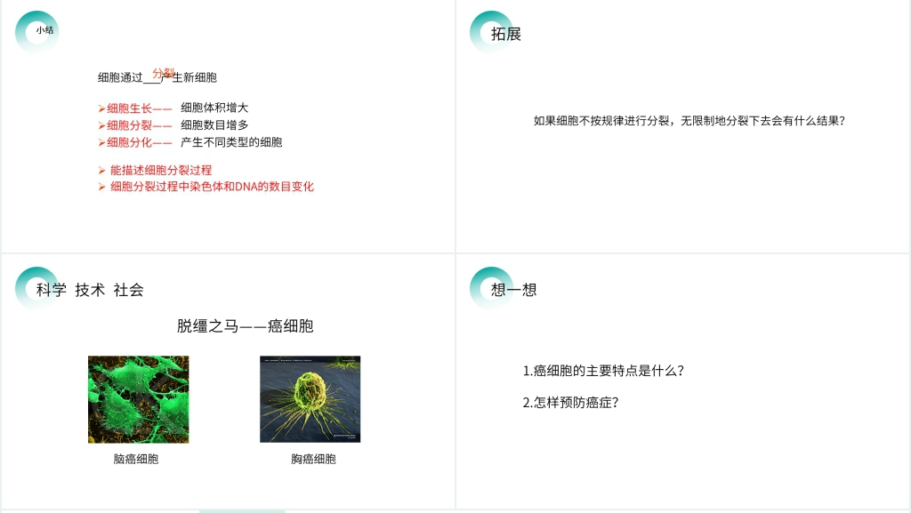人教版七年级初一生物上册《细胞通过分裂产生新细胞》PPT课件 人教版七年级初一生物上册《细胞通过分裂产生新细胞》PPT课件