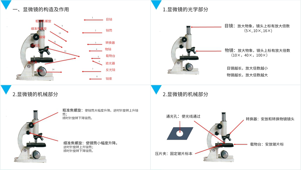 人教版七年级初一生物上册《练习使用显微镜》教案PPT课件 人教版七年级初一生物上册《练习使用显微镜》教案PPT课件