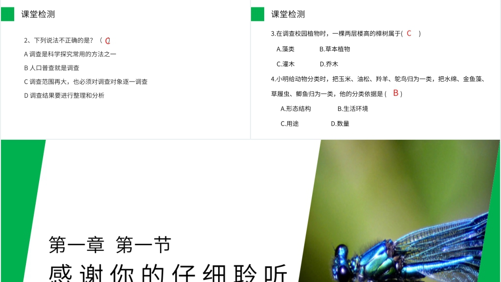 人教版七年级初一生物上册《调查周边环境中的生物》PPT课件 人教版七年级初一生物上册《调查周边环境中的生物》PPT课件