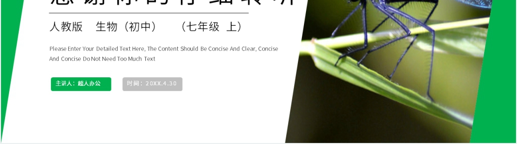 人教版七年级初一生物上册《调查周边环境中的生物》PPT课件 人教版七年级初一生物上册《调查周边环境中的生物》PPT课件