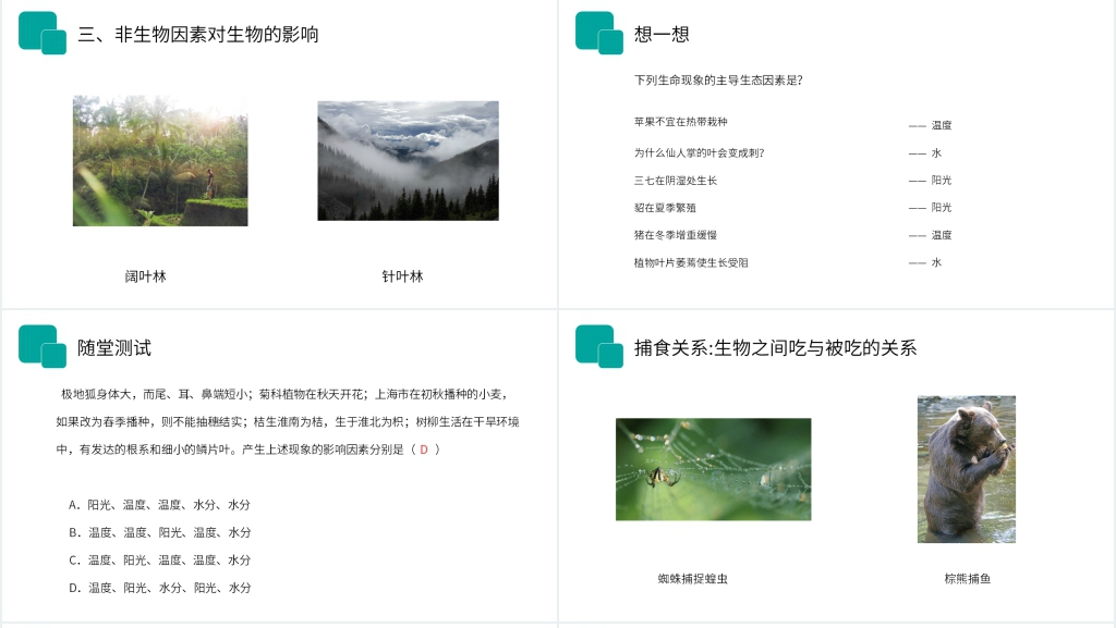 人教版七年级初一生物上册《生物与环境的关系》讲课PPT课件 人教版七年级初一生物上册《生物与环境的关系》讲课PPT课件
