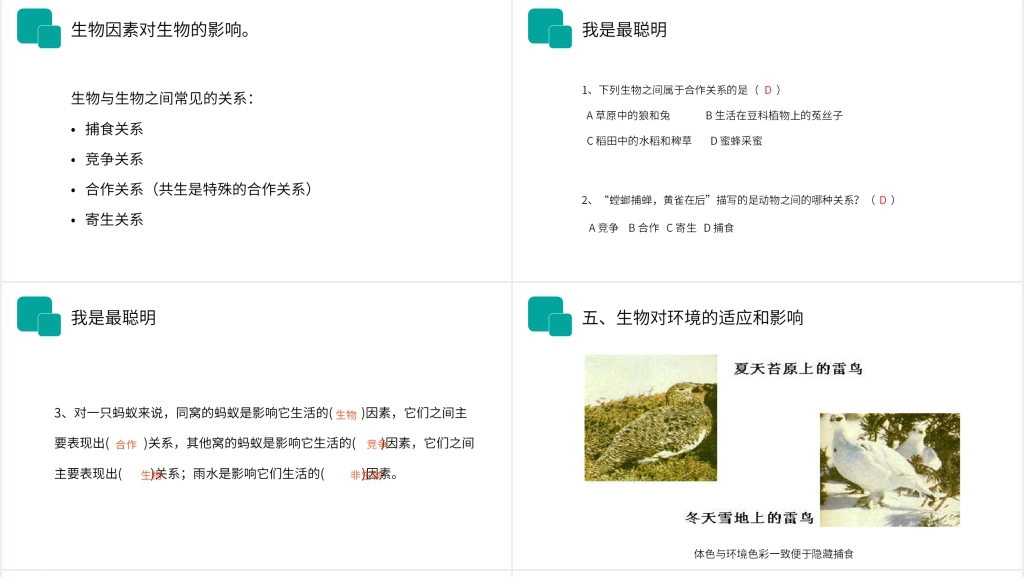 人教版七年级初一生物上册《生物与环境的关系》讲课PPT课件 人教版七年级初一生物上册《生物与环境的关系》讲课PPT课件