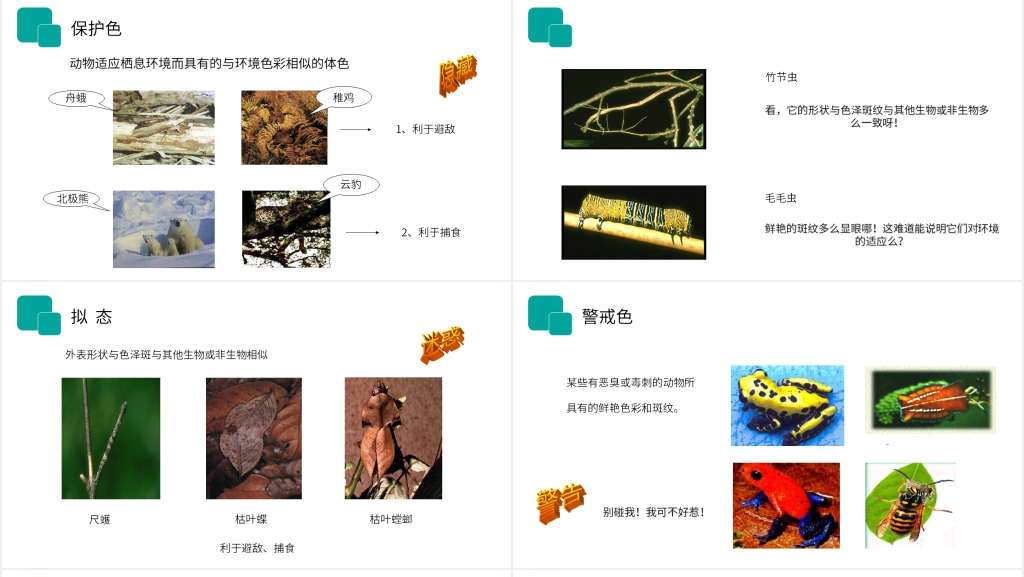 人教版七年级初一生物上册《生物与环境的关系》讲课PPT课件 人教版七年级初一生物上册《生物与环境的关系》讲课PPT课件