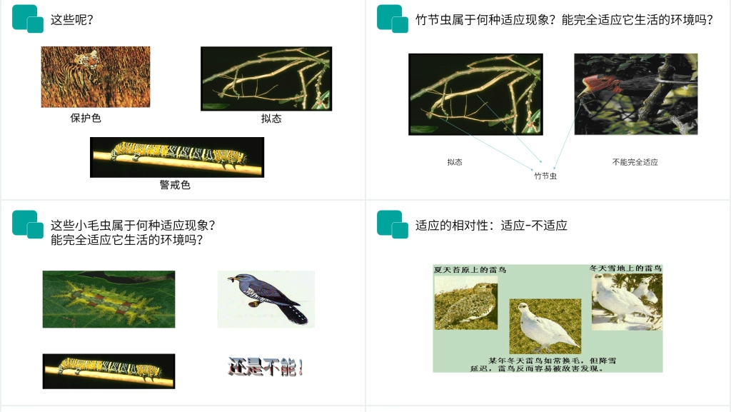 人教版七年级初一生物上册《生物与环境的关系》讲课PPT课件 人教版七年级初一生物上册《生物与环境的关系》讲课PPT课件