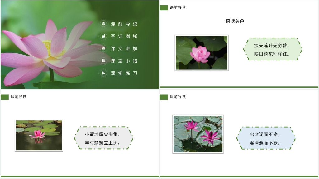 小学三年级语文下册第一单元《荷花》教案PPT课件 小学三年级语文下册第一单元《荷花》教案PPT课件
