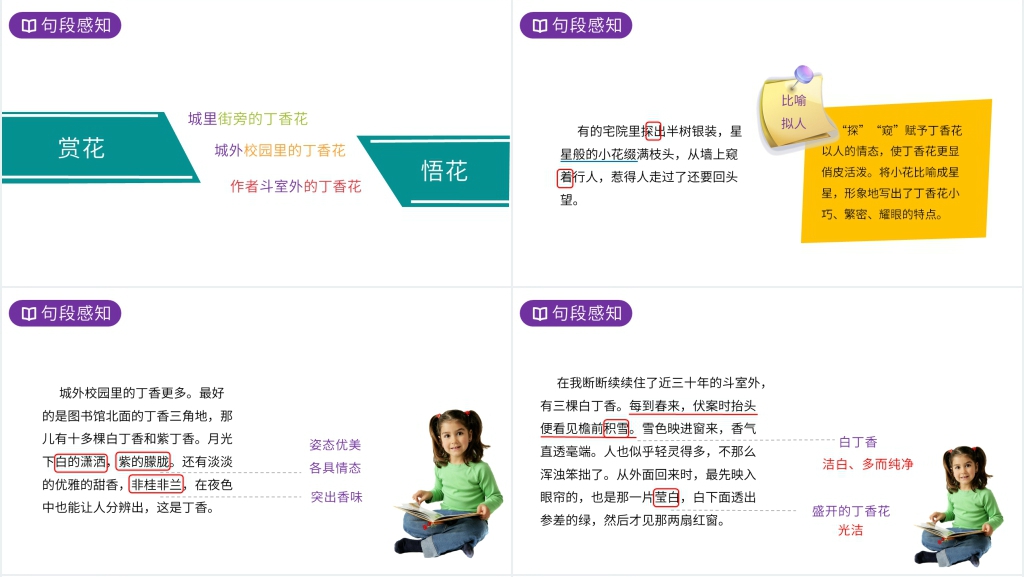 人教版六年级上册语文《丁香结》课文PPT课件 人教版六年级上册语文《丁香结》课文PPT课件