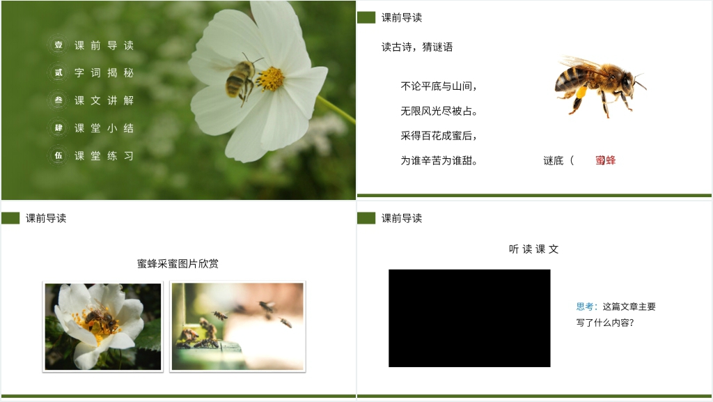 小学三年级语文下册第四单元《蜜蜂》课文PPT课件 小学三年级语文下册第四单元《蜜蜂》课文PPT课件