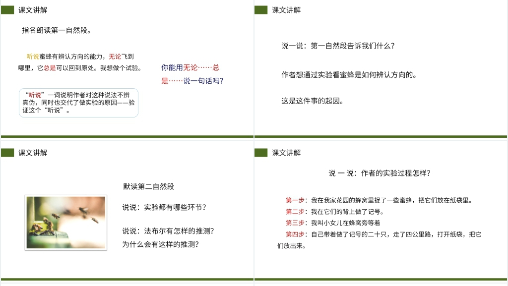 小学三年级语文下册第四单元《蜜蜂》课文PPT课件 小学三年级语文下册第四单元《蜜蜂》课文PPT课件