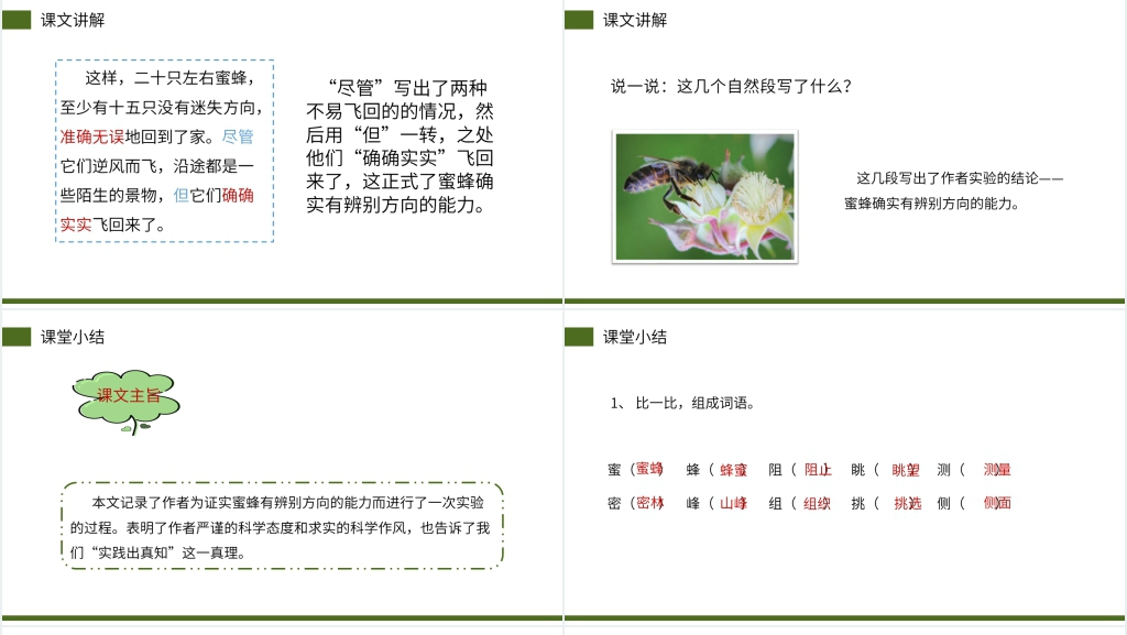 小学三年级语文下册第四单元《蜜蜂》课文PPT课件 小学三年级语文下册第四单元《蜜蜂》课文PPT课件