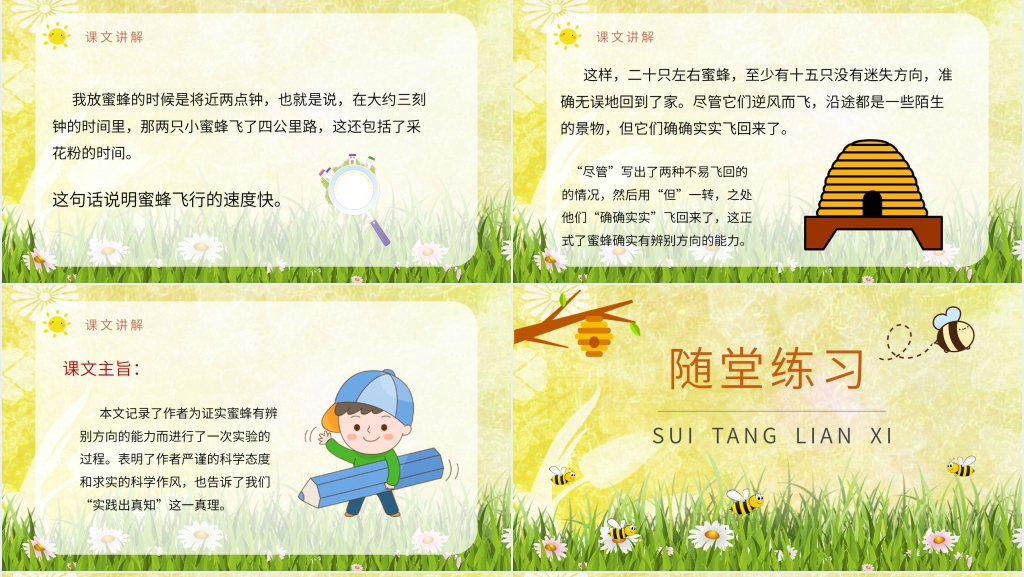 人教部编版小学语文三年级上册课件《蜜蜂》教案PPT课件 人教部编版小学语文三年级上册课件《蜜蜂》教案PPT课件