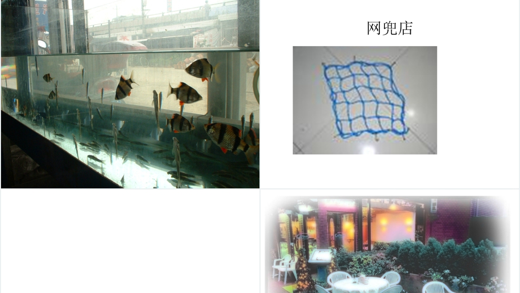中班教案小动物开店PPT课件 中班教案小动物开店PPT课件