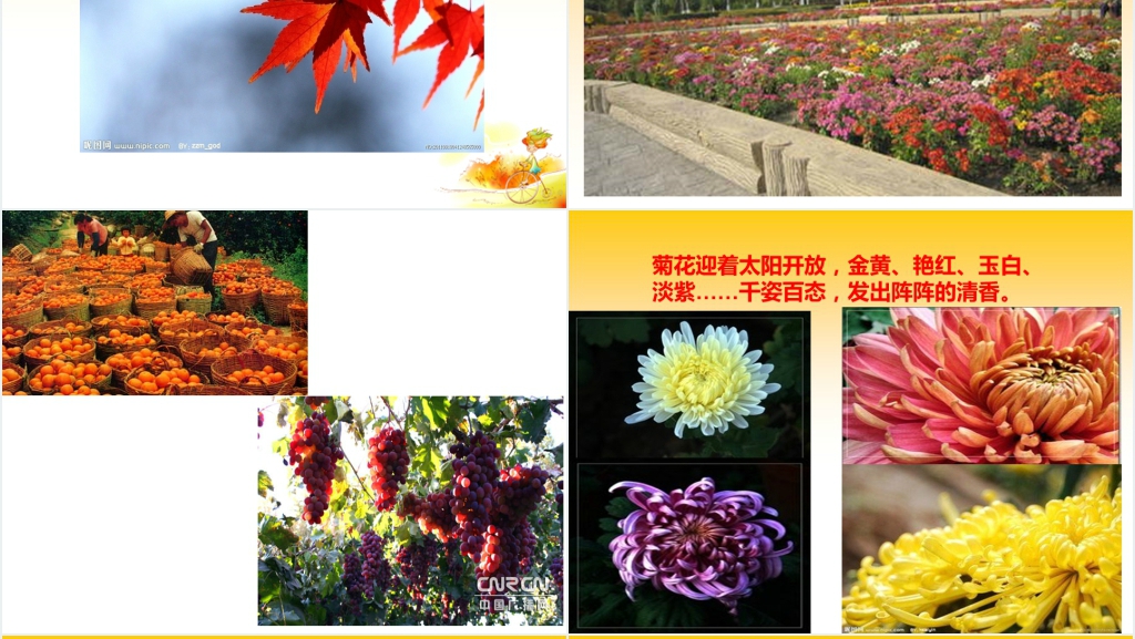 美丽的秋天教案PPT课件 美丽的秋天教案PPT课件