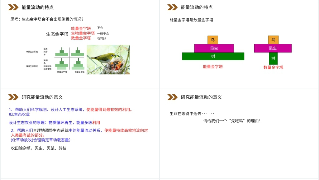 人教版高二生物必修三《生态系统的能量流动》PPT课件 人教版高二生物必修三《生态系统的能量流动》PPT课件