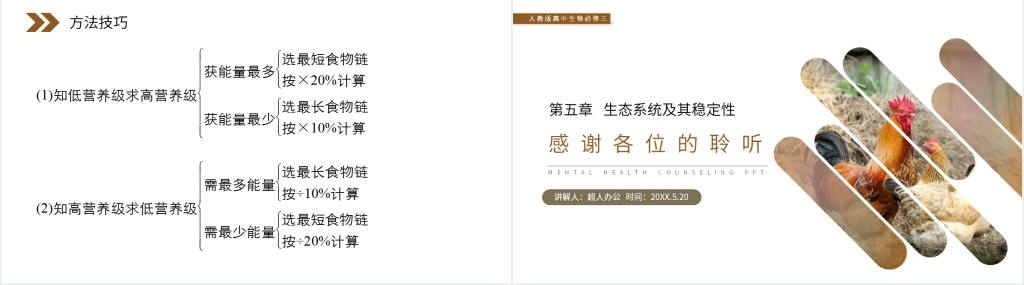 人教版高二生物必修三《生态系统的能量流动》PPT课件 人教版高二生物必修三《生态系统的能量流动》PPT课件