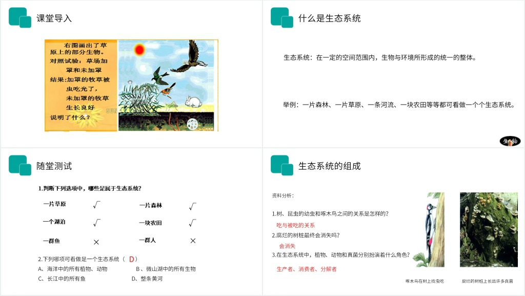 人教版七年级初一生物上册《生物与环境组成生态系统》PPT课件 人教版七年级初一生物上册《生物与环境组成生态系统》PPT课件