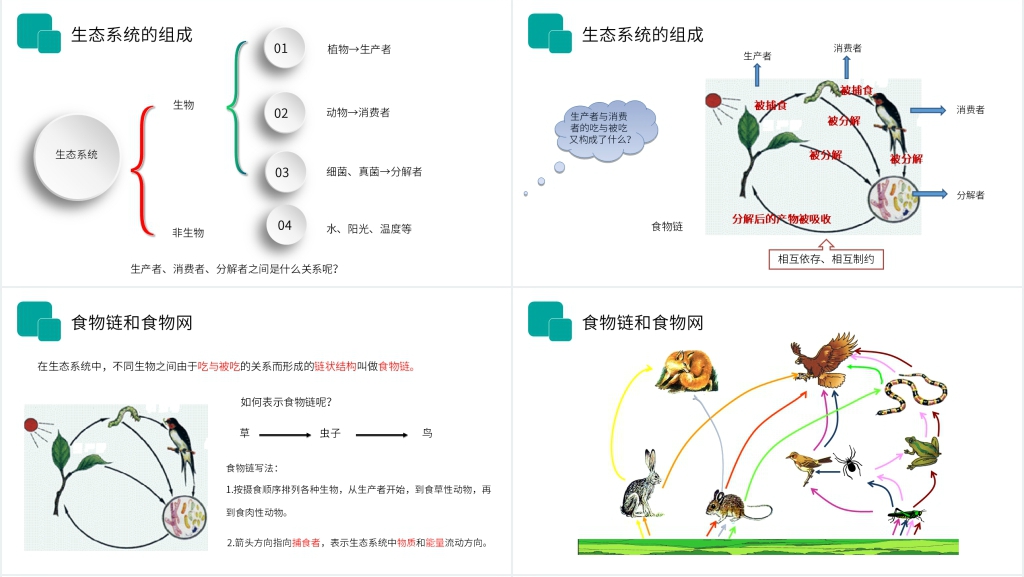 人教版七年级初一生物上册《生物与环境组成生态系统》PPT课件 人教版七年级初一生物上册《生物与环境组成生态系统》PPT课件