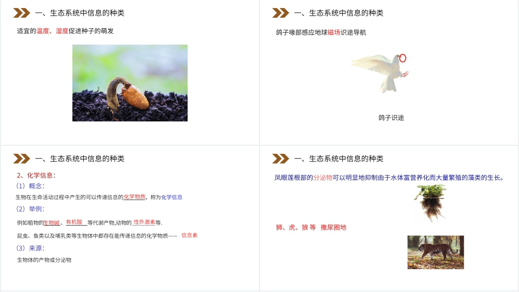 人教版高二生物必修三《生态系统的信息传递》PPT课件 人教版高二生物必修三《生态系统的信息传递》PPT课件