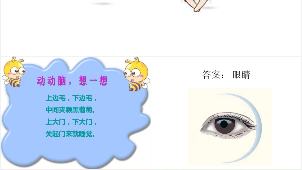 幼儿园爱护眼睛课堂PPT课件 幼儿园爱护眼睛课堂PPT课件