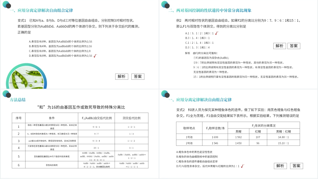 高一下册生物必修二《豌豆杂交实验》PPT课件 高一下册生物必修二《豌豆杂交实验》PPT课件