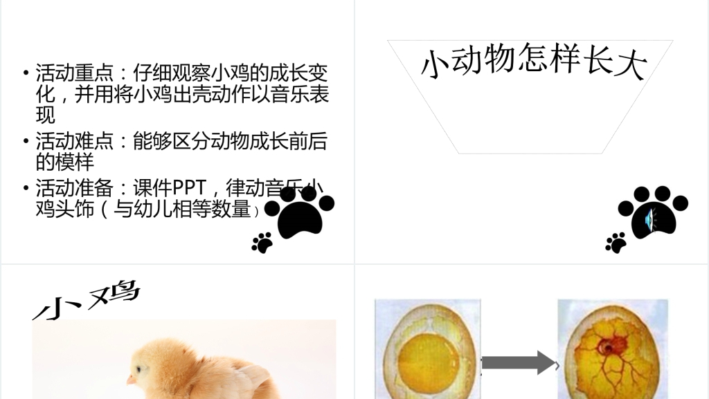 小动物怎样长大绘本故事教案PPT课件 小动物怎样长大绘本故事教案PPT课件