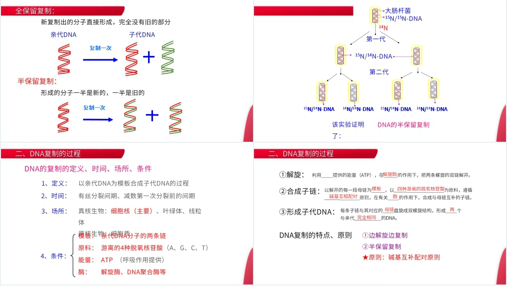 高一下册生物必修二《DNA的复制》教学PPT课件 高一下册生物必修二《DNA的复制》教学PPT课件