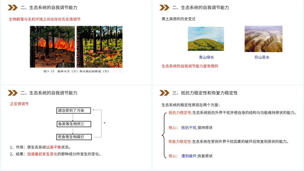 人教版高二生物必修三《生态系统的稳定性》PPT课件 人教版高二生物必修三《生态系统的稳定性》PPT课件