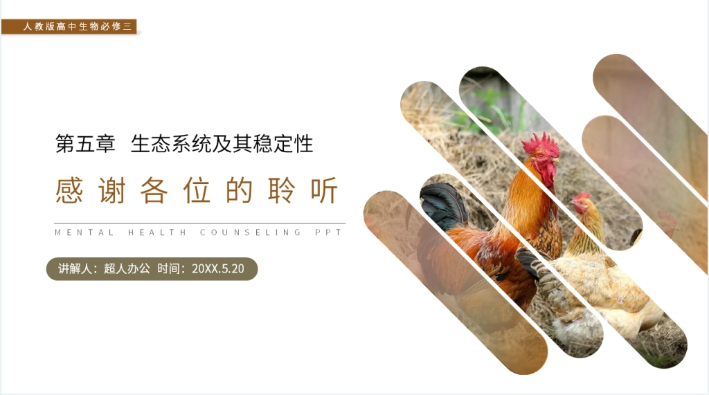 人教版高二生物必修三《生态系统的稳定性》PPT课件 人教版高二生物必修三《生态系统的稳定性》PPT课件