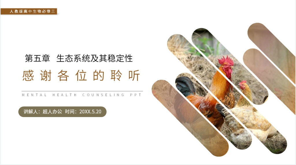 人教版高二生物必修三《生态系统的结构》PPT课件 人教版高二生物必修三《生态系统的结构》PPT课件