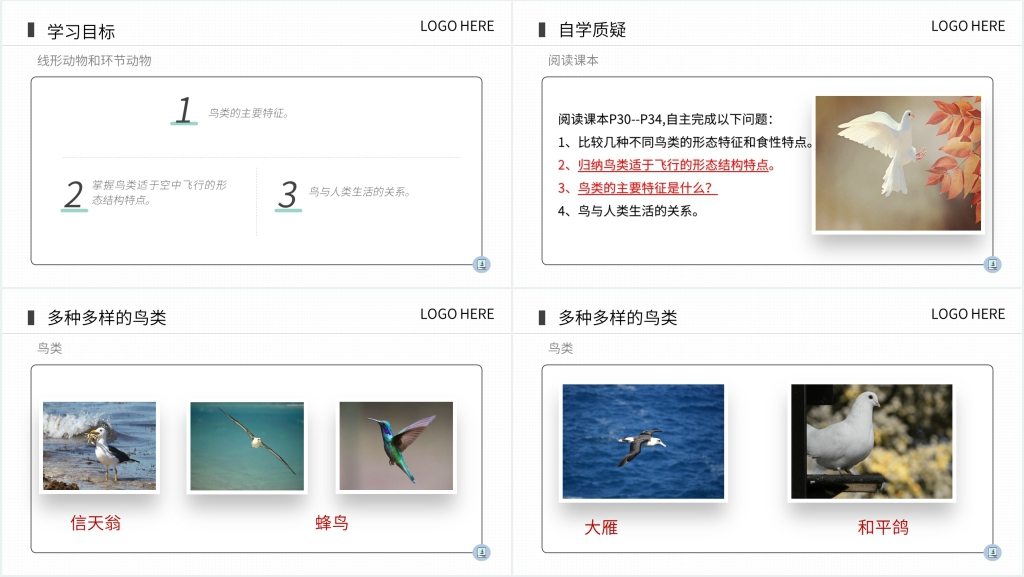 八年级上册初二生物《鸟》PPT课件