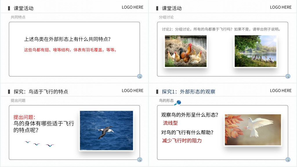 八年级上册初二生物《鸟》PPT课件