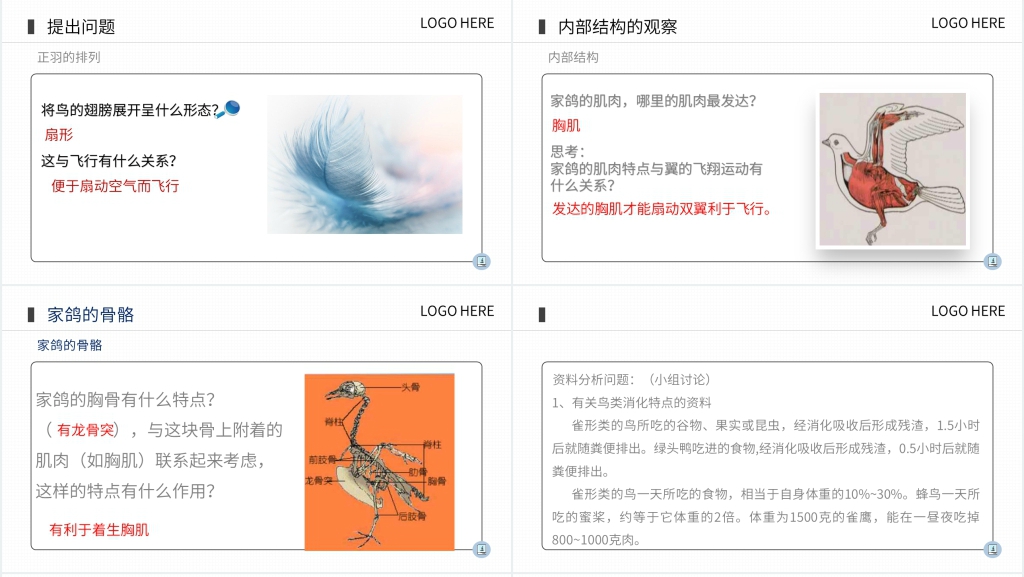 八年级上册初二生物《鸟》PPT课件
